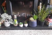 faux potted plants