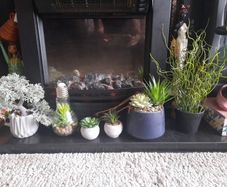 faux potted plants