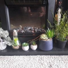 faux potted plants