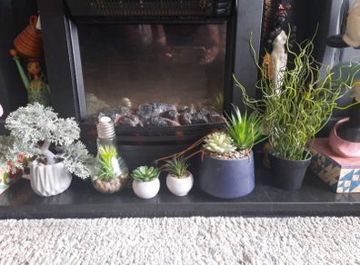 faux potted plants