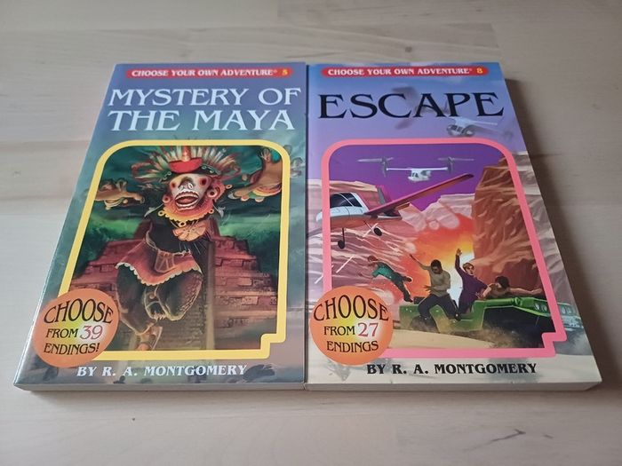Choose Your Own Adventure by R.A. Montgomery (Illustrated Fantasy Retro Game Books 2005 NEW)