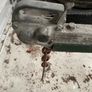Traditional Lake Fishing Boat 25ft Image 4