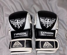 Top pro MMA gloves