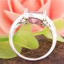 Ring Image 3