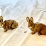 Schleich animals Image 9