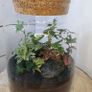 Terrarium 25x18cm Image 2