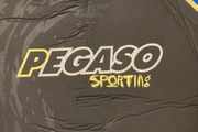 Pegaso 3mm wetsuit / Men's size small