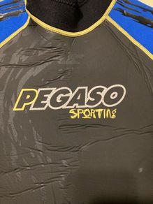 Pegaso 3mm wetsuit / Men's size small