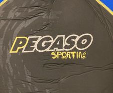 Pegaso 3mm wetsuit / Men's size small