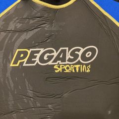 Pegaso 3mm wetsuit / Men's size small