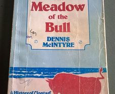 The Meadow of the Bull A history of Clontarf Ireland Irish local history