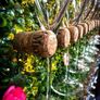 Prosecco wall Image 4