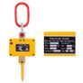 BRAND NEW EU Industrial Digital Crane Scale 2000kg/4000 lb High Precision Rechargeable with Remote Control 2T Electronic Hanging Scale Image 10
