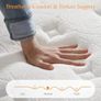 Double Mattress 10.6 Inch, Memory Foam Hybrid Double Mattress, Zoned Coil Pocket Sprungs, Medium Firm Orthopedic Support, Motion Isolation, 135x190x27cm Image 3