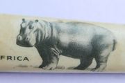 Vintage Richards Sheffield England -Africa Hippo Pocket Knife