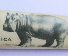 Vintage Richards Sheffield England -Africa Hippo Pocket Knife