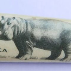 Vintage Richards Sheffield England -Africa Hippo Pocket Knife