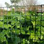 NEW SALE | Green Plastic Garden Fencing Mesh Netting Climbing Plants Vegetables Pets 5m x 0.5m x 20mm Image 2