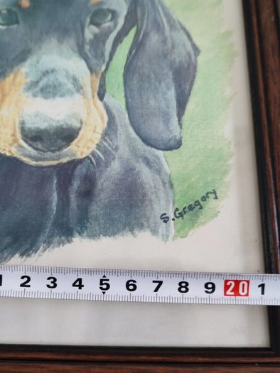 Framed print of dog.