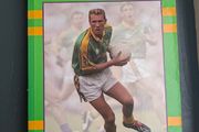 Misunderstood Graham Geraghty Biography Meath GAA Football