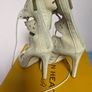 FAB Silvan Heach High Heels shoes Image 2