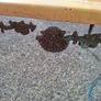 Vintage metal coffee table in need of restoration Image 6