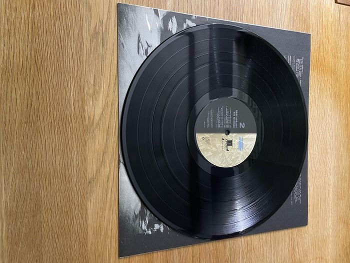 RATM - Rage Against The Machine - 12" Vinyl 180gm LP - 2015 Reissued / Remastered