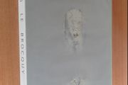 Louis Le Brocquy The Head Image Interviews with the Artist By Le Brocquy, Pierre (ed.)