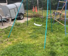 swing