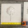 Gorgeous Wall Art X 3 piece set Image 6