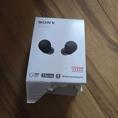 Sony earphones wf C700N