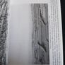 Anna White memoir, Meath local history Image 7