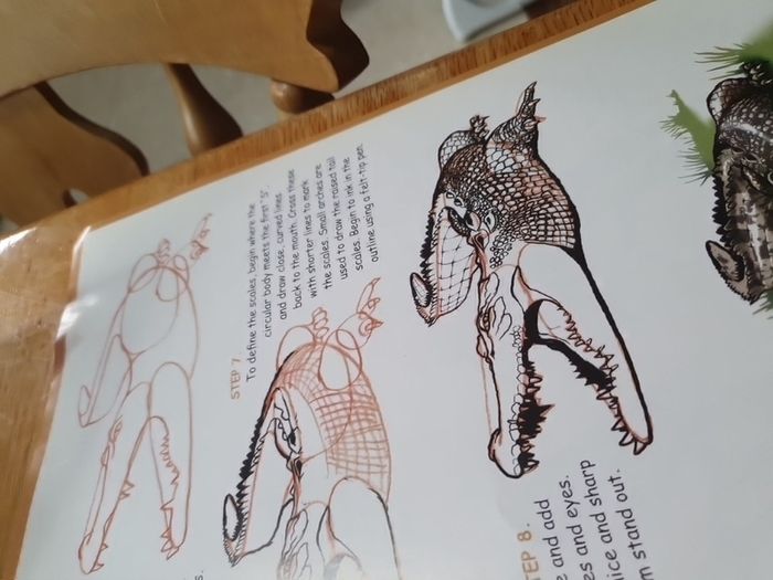 How to Draw Australian Wildlife In Very Good Condition From Pet Smoke Free Home Lots Of Books Listed For 1 2 3 Euro