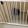 BabyDan No Trip Wall-Mounted Safety Gate Image 2