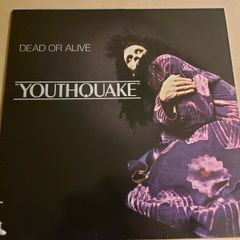 Dead Or Alive - Youthquake - Vinyl Record + Hundreds More