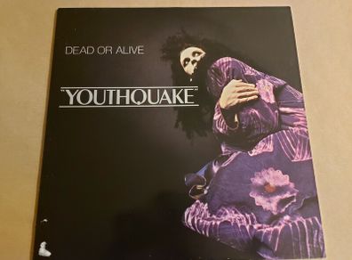 Dead Or Alive - Youthquake - Vinyl Record + Hundreds More