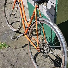 Free Bicycle