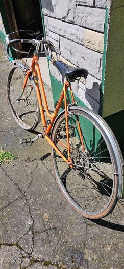 Free Bicycle