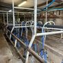 Milking palour Image 4