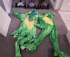 dinosaur costume