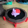 Pigs on Trampolines Image 5