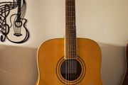 Acoustic Guitar Solid Spruce Top SX Custom Guitars DG190/NA