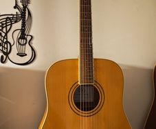 Acoustic Guitar Solid Spruce Top SX Custom Guitars DG190/NA