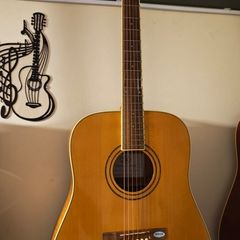 Acoustic Guitar Solid Spruce Top SX Custom Guitars DG190/NA