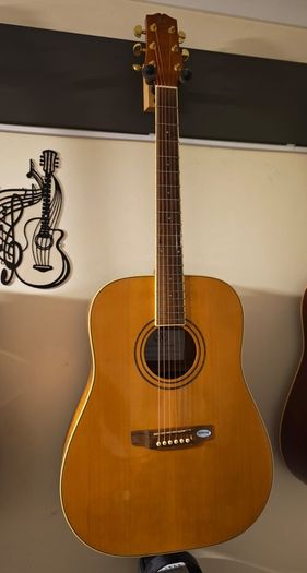 Acoustic Guitar Solid Spruce Top SX Custom Guitars DG190/NA
