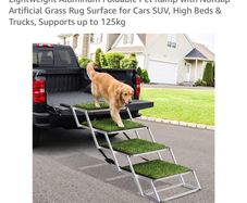 Dog Stairs for car
