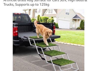 Dog Stairs for car