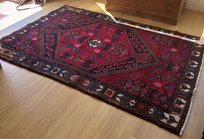 Persian Style Wool Rug