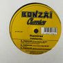 20e each dance house 90s and hard house 12" vinyl Image 10