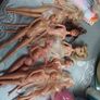 Seven Part Dressed Barbie Dolls Image 7
